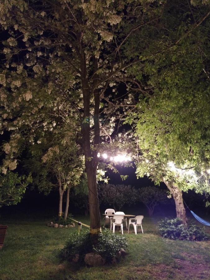 Holiday Home,1051170817:JPEG